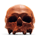 Illustration for article titled Lets All Eat Some Skulls